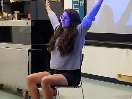 Professional Show & Tell: Steal This Idea!