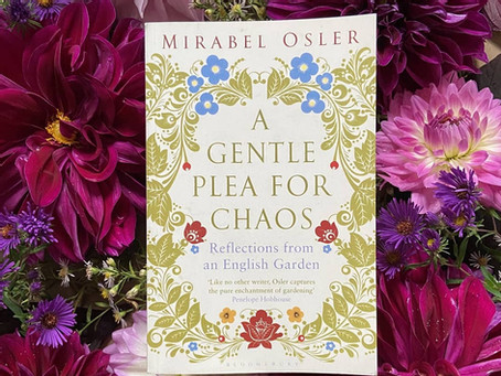 WinH Book Club: A Gentle Plea for Chaos