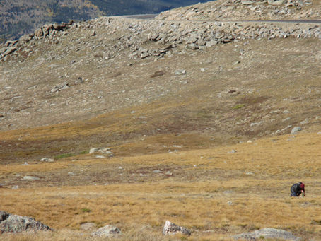 Alpine Plantswoman Amy Schneider
