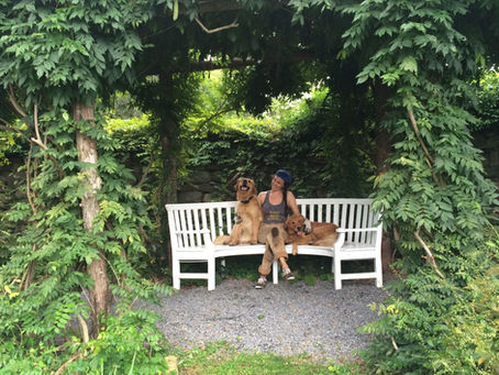 Quill Teal-Sullivan: Preserving Gardens as Living Artifacts of Human Endeavors