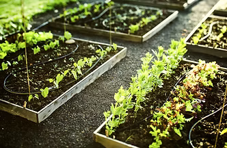 Gardening