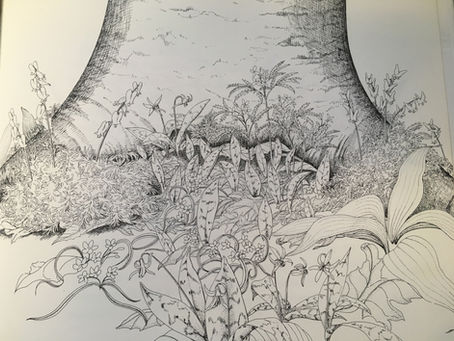 Carol Lerner: Author and Illustrator